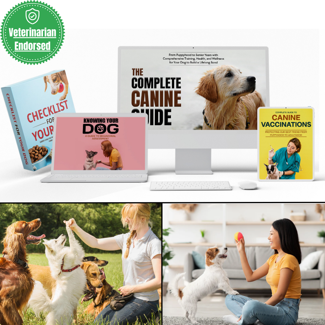 ONLINE-AMIGURUMI-KURS (+ 15 FERTIGE MUSTER KOSTENLOS)
