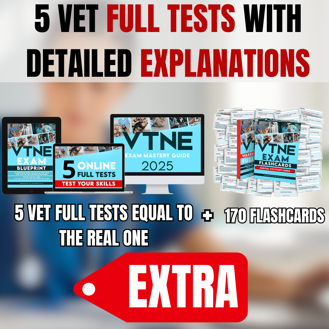 In offer for you 5 extra practice tests and 170 flashcards!