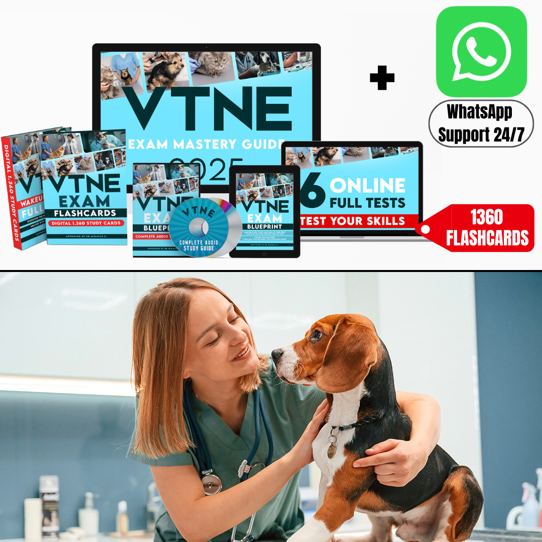 ONLINE-AMIGURUMI-KURS (+ 15 FERTIGE MUSTER KOSTENLOS)